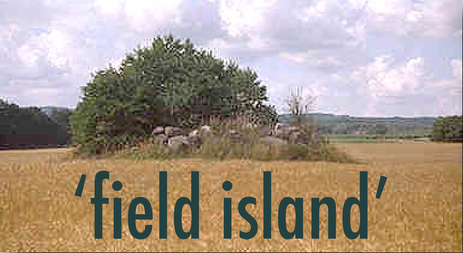 åkerholme - rocky parts of a field, untilled, overgrown by vegetation